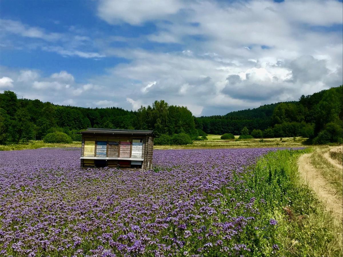 Fränkische Schweiz * Pottenstein
